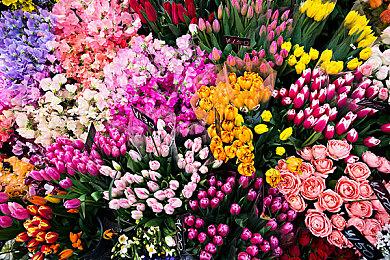 《绝地潜兵2》估测全球销量已经突破800万套