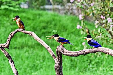 《赛博朋克2077》DLC“往日之影”将在Xbox发布会上公布发售日